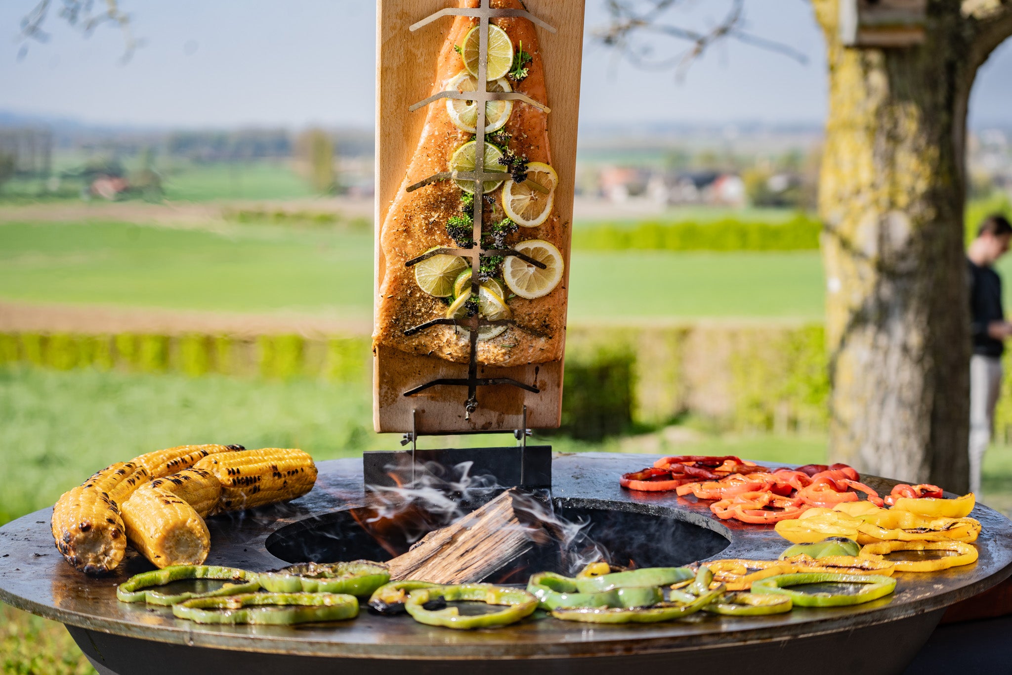 Zalm op de plancha bbq