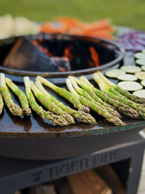 TIGER FIRE OFFICIAL STORE | TIGER FIRE SHOP | TIGER FIRE | PLANCHA BBQ | BBQ KOPEN | Kupić BBQ | Koupit BBQ | Buy a BBQ | Acheter BBQ | BBQ KAUFEN | Acquistare un BBQ | Comprar un BBQ | EINEN BBQ KAUFEN | Comprar um BBQ | FUERPLATTE PLANCHA BBQ | PLANCHA GRILL | BBQ GRIDDLE