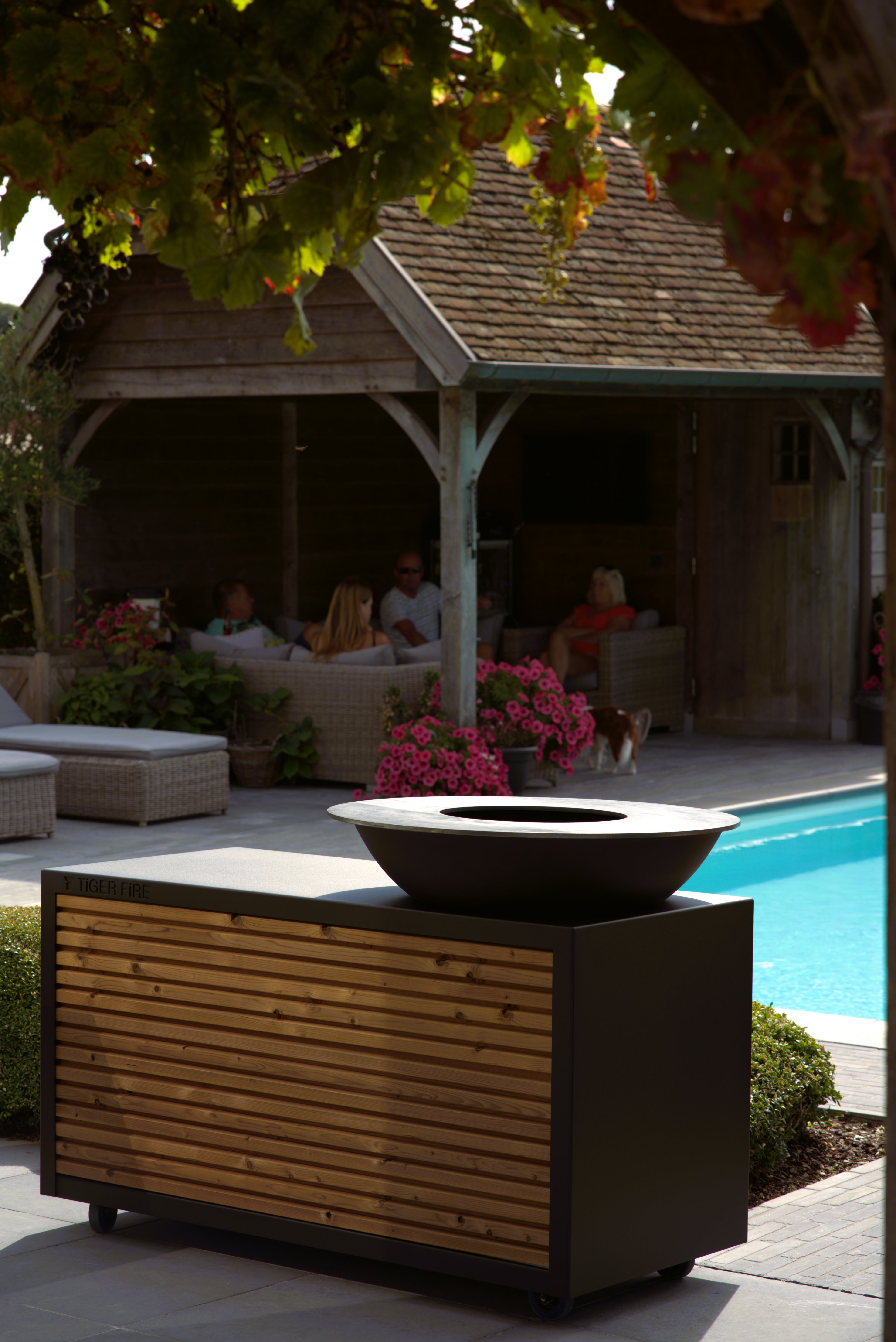 TIGER FIRE OFFICIAL STORE | TIGER FIRE SHOP | TIGER FIRE | PLANCHA BBQ | BBQ KOPEN | Kupić BBQ | Koupit BBQ | Buy a BBQ | Acheter BBQ | BBQ KAUFEN | Acquistare un BBQ | Comprar un BBQ | EINEN BBQ KAUFEN | Comprar um BBQ | FUERPLATTE PLANCHA BBQ | PLANCHA GRILL | BBQ GRIDDLE