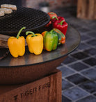 TIGER FIRE OFFICIAL STORE | TIGER FIRE SHOP | TIGER FIRE | PLANCHA BBQ | BBQ KOPEN | Kupić BBQ | Koupit BBQ | Buy a BBQ | Acheter BBQ | BBQ KAUFEN | Acquistare un BBQ | Comprar un BBQ | EINEN BBQ KAUFEN | Comprar um BBQ | FUERPLATTE PLANCHA BBQ | PLANCHA GRILL | BBQ GRIDDLE